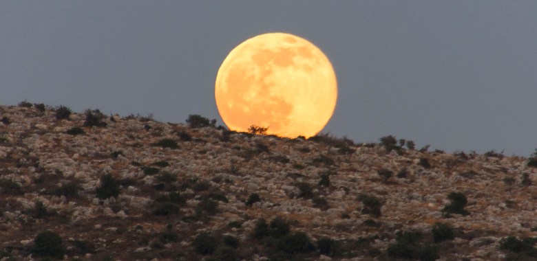 אשמורת הבוקר