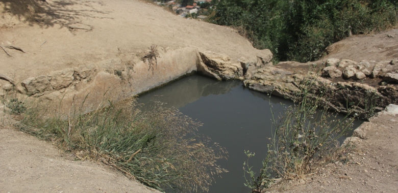באר לחי ראי